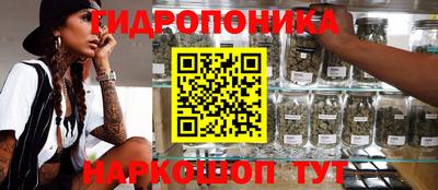меф Кимры
