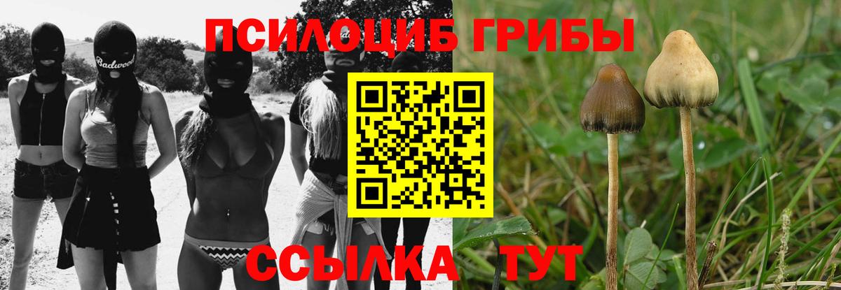 Комсомольск-на-Амуре  Псилоцибиновые грибы мухоморы  Псилоцибиновые грибы MAGIC MUSHROOMS  Вход с VPN 
